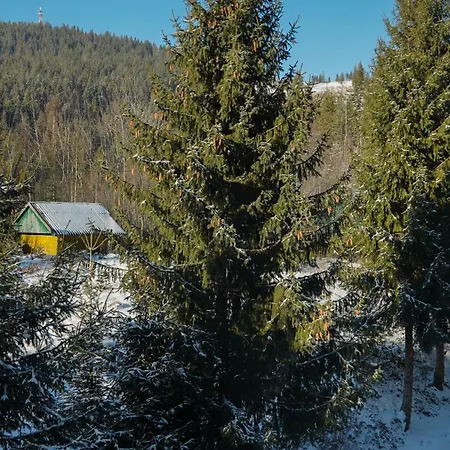 Hotel Karpatski Dzherela *