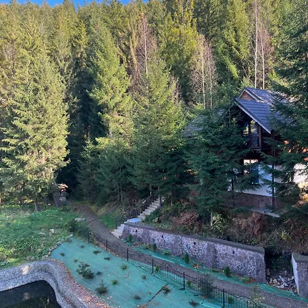 Hotel Karpatski Dzherela *