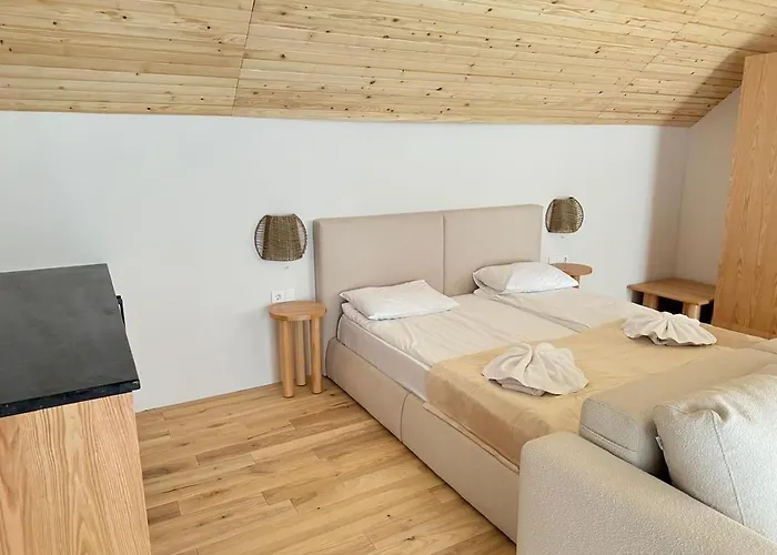 Karpatski Dzherela Otel