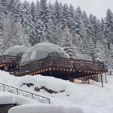 Karpatski Dzherela *