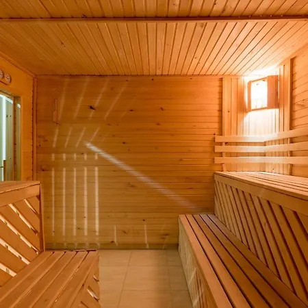 Karpatski Dzherela فندق