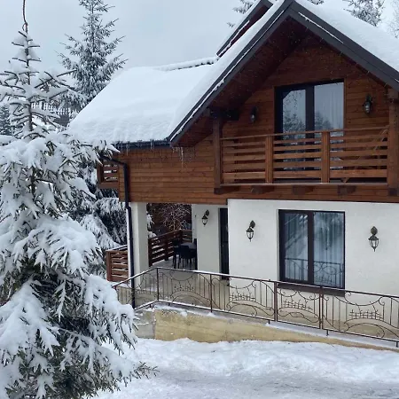 Karpatski Dzherela ياريمتشي